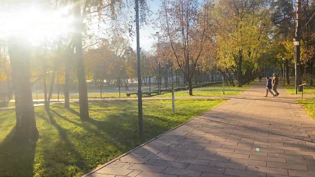 Царицыно: Коллективный проезд (2022) смотреть онлайн