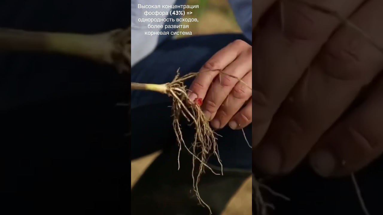 Microstar PZ с Микрогранулятором TECHNIK PLUS - путь к стабильным и высоким урожаям кукурузы смотреть онлайн