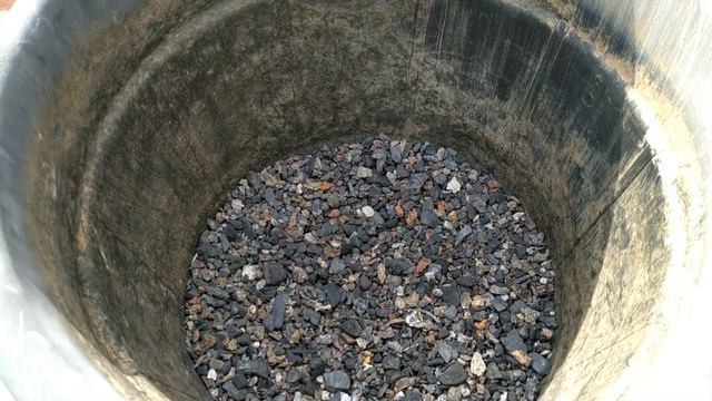 Agave Americana Marginata Plant Repotting Work _ Aug2023 смотреть онлайн