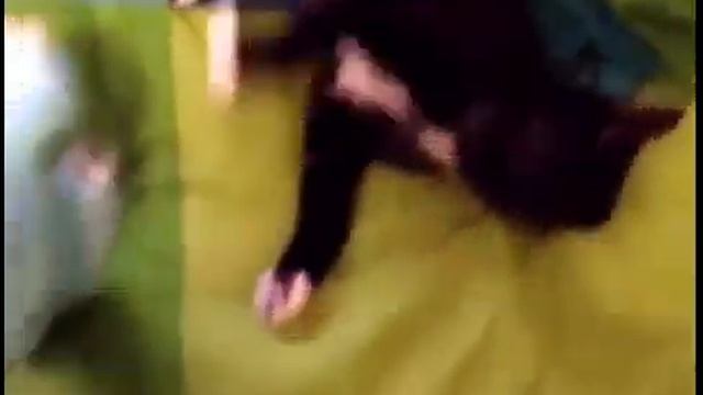 Приколы подборка видео новые самые лучшие приколы | Fun compilation video, new best jokes смотреть онлайн