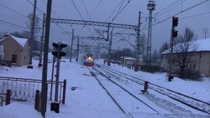 SERPO, FOREN - Сапсан