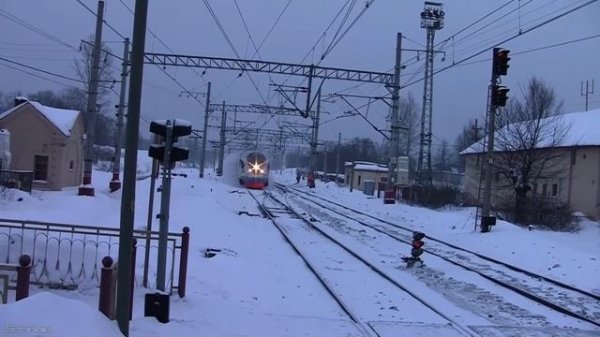 SERPO, FOREN - Сапсан