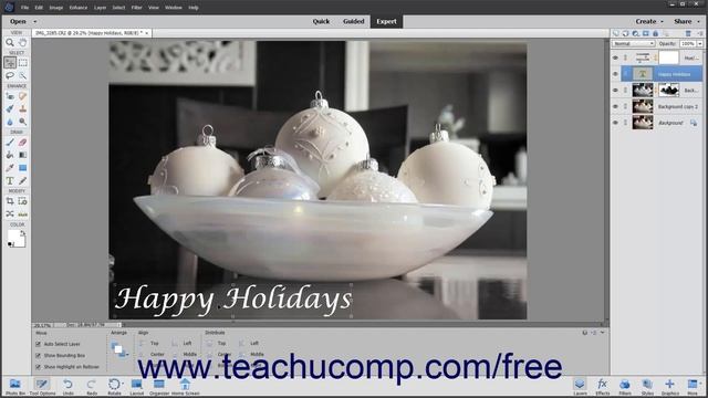 Learn about Vector Graphics in Adobe Photoshop Elements 2023: A Training Tutorial смотреть онлайн