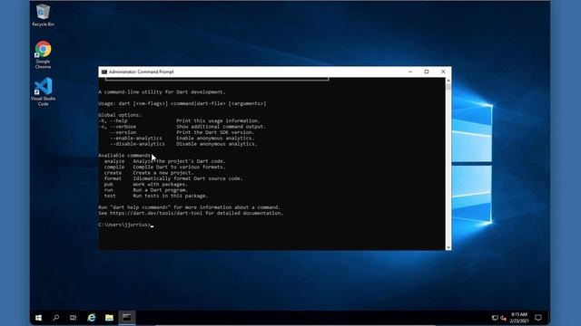 Dart Setup - Installing Dart SDK And VS Code