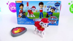 Открываем набор игрушек Щенячий Патруль на канале Queens Park Toys