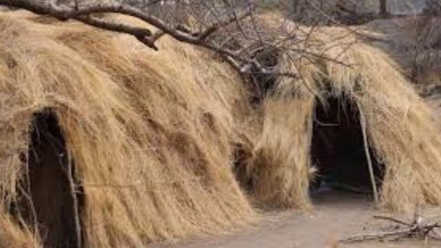 Carl Sagan — Wanderers смотреть онлайн