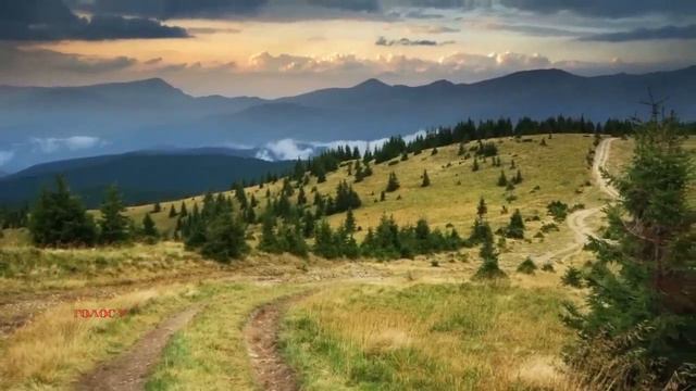 Я тебе родной человек,а она кто Муж сделал вид что не понимает свою жену смотреть онлайн