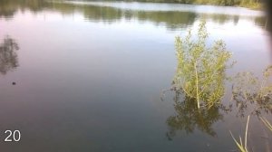 (37) ловля пескаря.