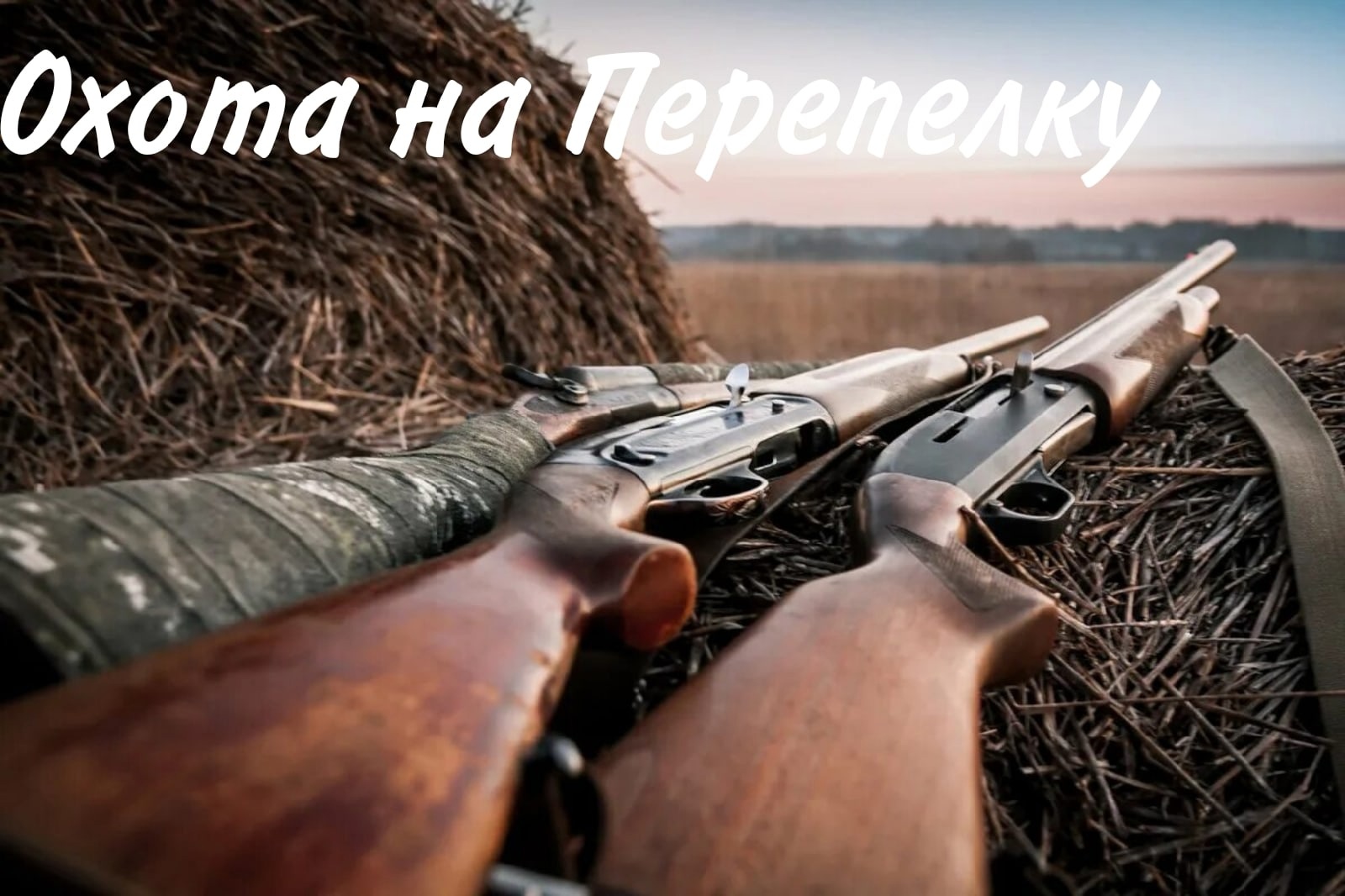 Охота на Перепелку смотреть онлайн