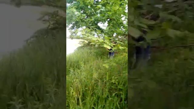 Река кума 25 мая 2017 смотреть онлайн