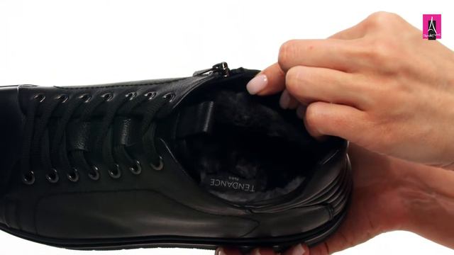 3101343 Видеообзор I Мужские кеды высокие TENDANCE смотреть онлайн