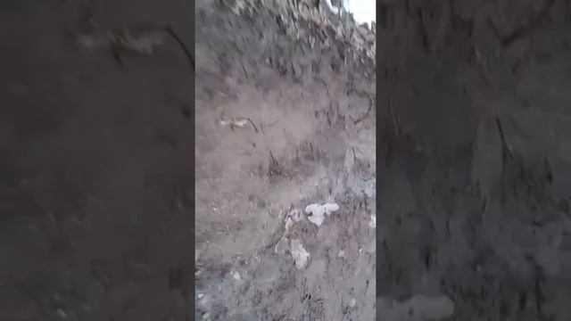 Бягане в Западен парк София в кал, вода и сняг смотреть онлайн