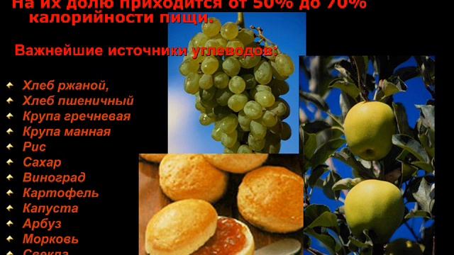 Школьное питание, школа 297.wmv смотреть онлайн