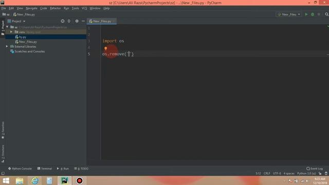 Renaming and Delete File on python смотреть онлайн