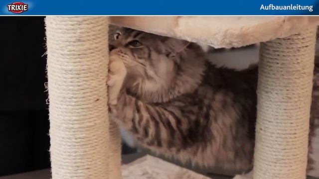 TRIXIE (Трикси) Домик для кошки Alicante смотреть онлайн