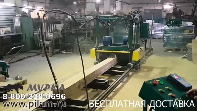 Автоматизированая дисковая пилорама горизонтального пиления Тайга ДП 3 смотреть онлайн