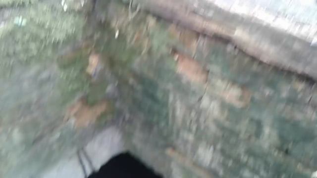 Радостные разговоры