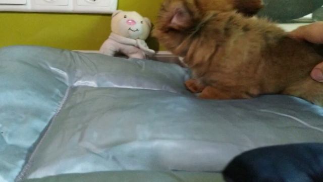 сынок Фани и Дани. Родился 26.08.21 смотреть онлайн