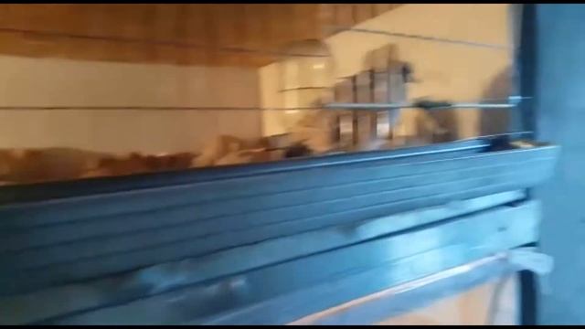 ПОИЛКИ ДЛЯ ПЕРЕПЕЛОВ смотреть онлайн