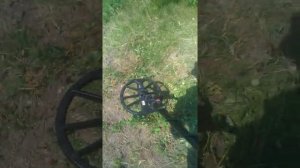 Minelab Equinox 800 тест на золото