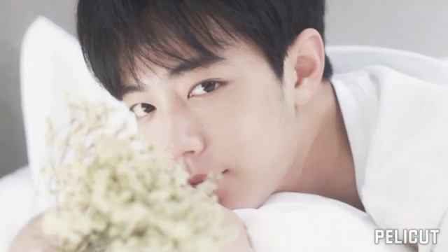 Сяо Чжань / Sean Xiao / Xiao Zhan / 肖战 / 战战 /