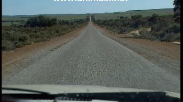 Animal X - Part 1 Thylacine - Animal X Classic Series 1 | Storyteller Media