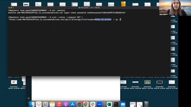 Using the Databricks API & CLI - 10.28.2022 смотреть онлайн
