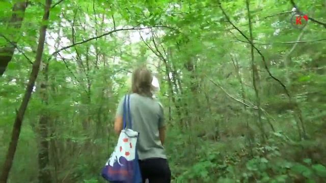 Архипо-Осиповка. По тропе "Терренкур" гора "Верблюд" 4.5км июнь 2019 смотреть онлайн