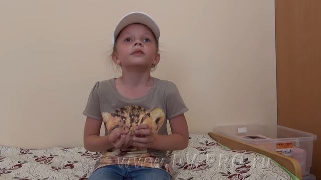 О чем думают девочки в детском саду? Россия. Екатеринбург смотреть онлайн