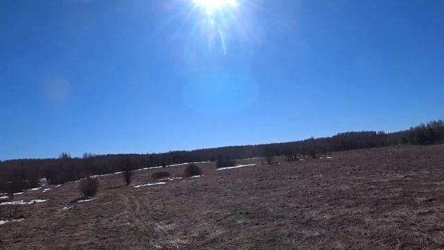 Реальный коп с XP Deus 2