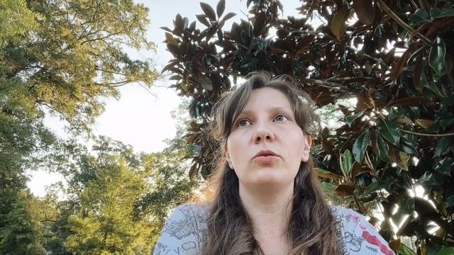 Северная Каролина США Плюсы и Минусы/ Впечатления о Жизни в Штате/Семейный влог в Америке смотреть онлайн