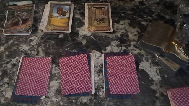 Ваши животные -тотемы / антитотемы: они с вами в данный момент (6 вар.- см.описание под видео). смотреть онлайн