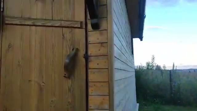 Стройка и Ремонт