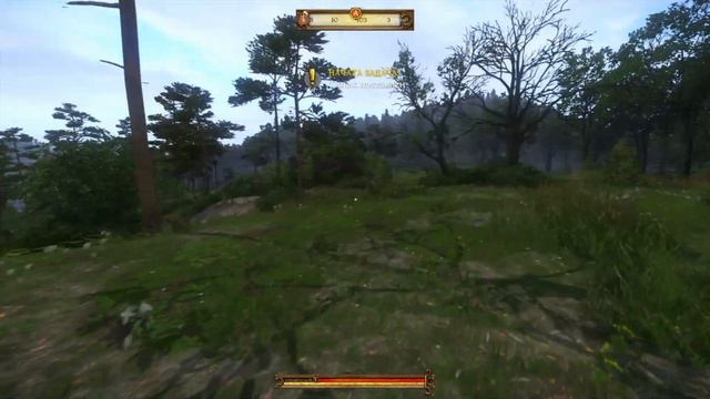 Kingdom Come: Deliverance. Карта сокровищ 12. #74 смотреть онлайн