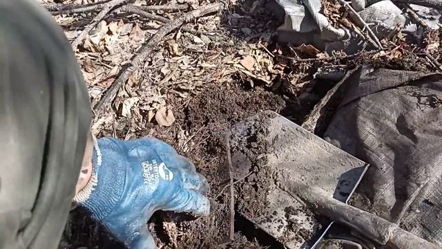 Сколько накопал за три дня.? ?Сдаю металл. ?Цены на приëмке. ?? смотреть онлайн