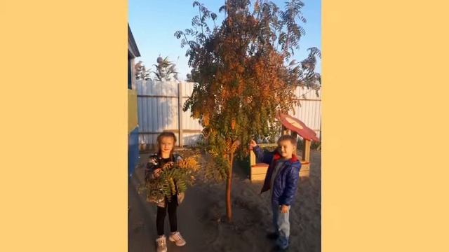 «Наблюдение за деревьями и кустарниками на участке в октябре». смотреть онлайн