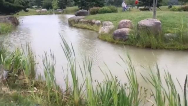 «Японский сад» на балтийском берегу смотреть онлайн