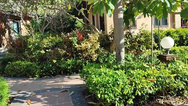 Территория отеля Plumeria 3* Паттайя.