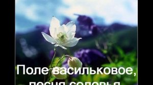 Всё, что сердцу дорого.wmv