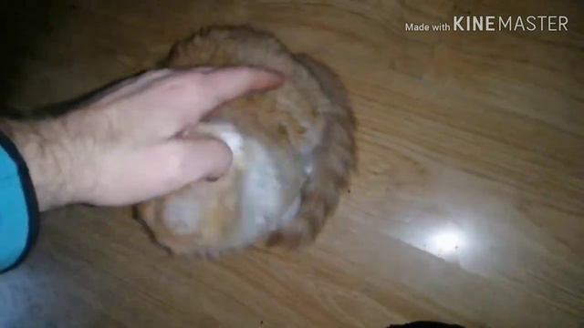 Понедельник ...Зарядимся на неделю) смотреть онлайн