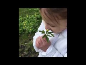 Желание: Принц