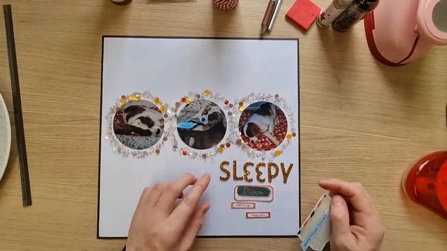 Sleepy Scrapbook Layout #30dscbl9 #dottyaboutflair #spiegelmomscraps #scrapbooking #scrapbackwards