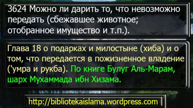 3624 Можно ли дарить то, что невозможно передать сбежавшее животное; отобранное имущество и т п смотреть онлайн
