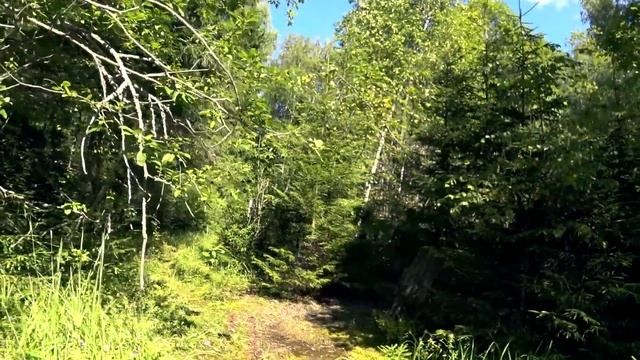 Что скрывает заброшенный лагерь министерства обороны.20 лет без детей.Что они охраняют ?