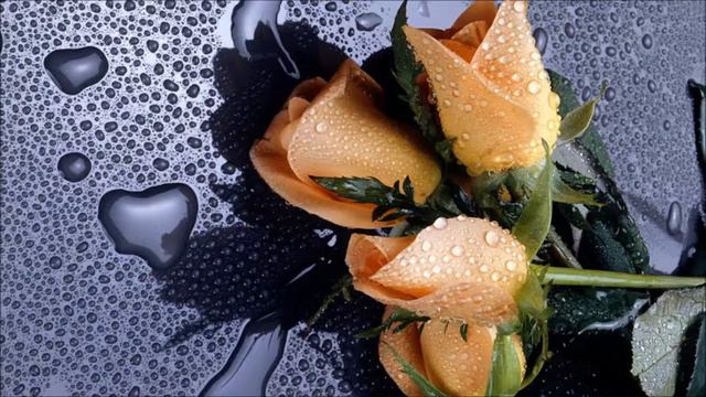 Маржанат смотреть онлайн