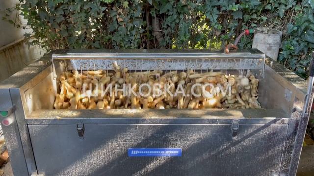 Мощная польская мойка-чистка для ХРЕНА и других корнеплодов 700 кг в час смотреть онлайн