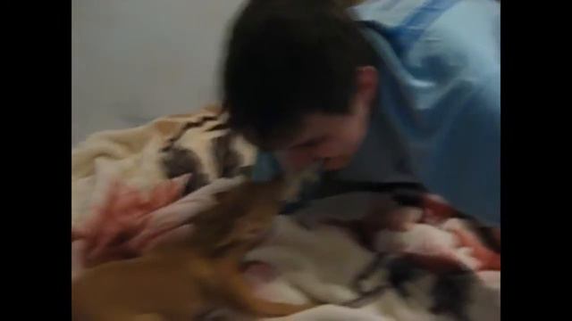 Игрушку не отдам, никогда. смотреть онлайн