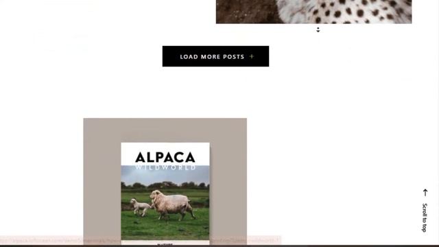 Alpaca Blog Magazine WordPress Theme | Alpaca - Blog & Magazine WordPress Theme by LoftOcean смотреть онлайн