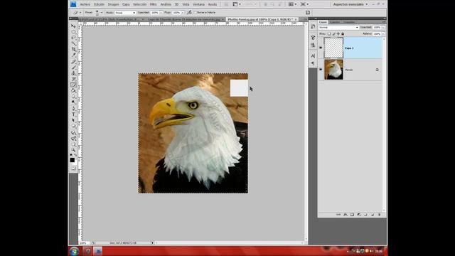 Tutorial Photoshop | Efecto Viñeteado Manual смотреть онлайн