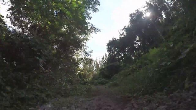 SELF BALANCING ELECTRIC UNICYCLE kingsong 16 смотреть онлайн